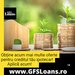 GFS Loans - Solutii de creditare